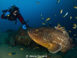 Give me a kiss! by Alexia Dunand 